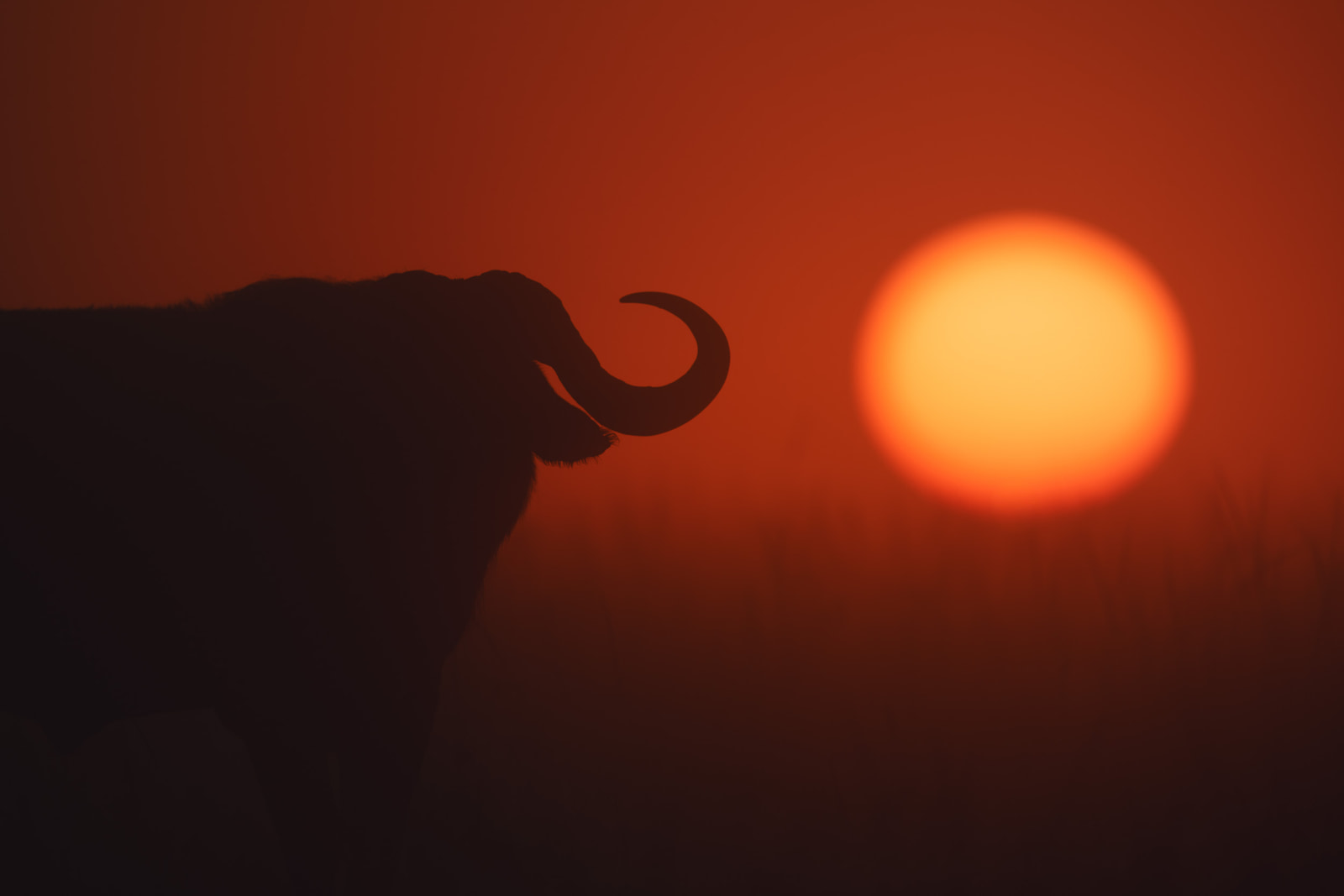 Horn of Africa
